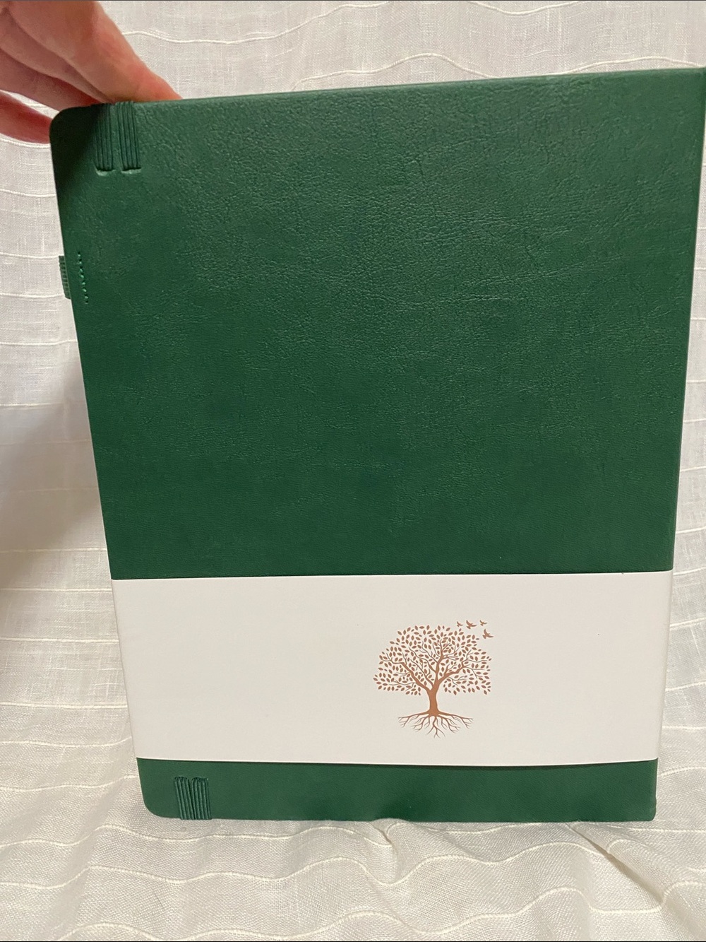 Green Embossed Tree Ruled Notebook - Picture 5 of 11